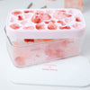 Chefmade學廚KT7110新品現貨4件套多層儲冰冰格盒Hello Kitty Ice Cube Tray with Lid container & scoop