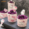 Chefmade學廚KT7068正版HelloKitty耐高溫1號蛋糕紙杯25入含插卡Hello Kitty Chef Muffin Liners 25Pcs