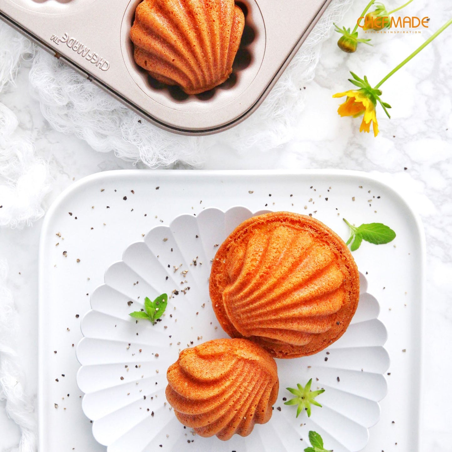 Chefmade學廚WK9113六連6連瑪德琳胖貝殼蛋糕模Madeline Cake Pan Spherical Shell 6 Well
